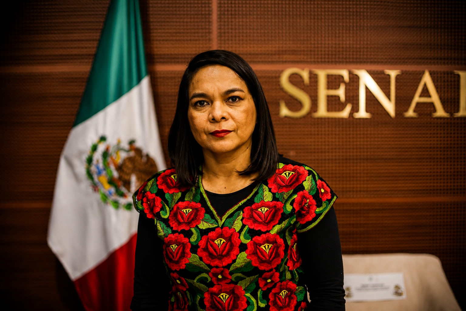 Beatriz Mojica deja Senado por gubernatura de Guerrero.