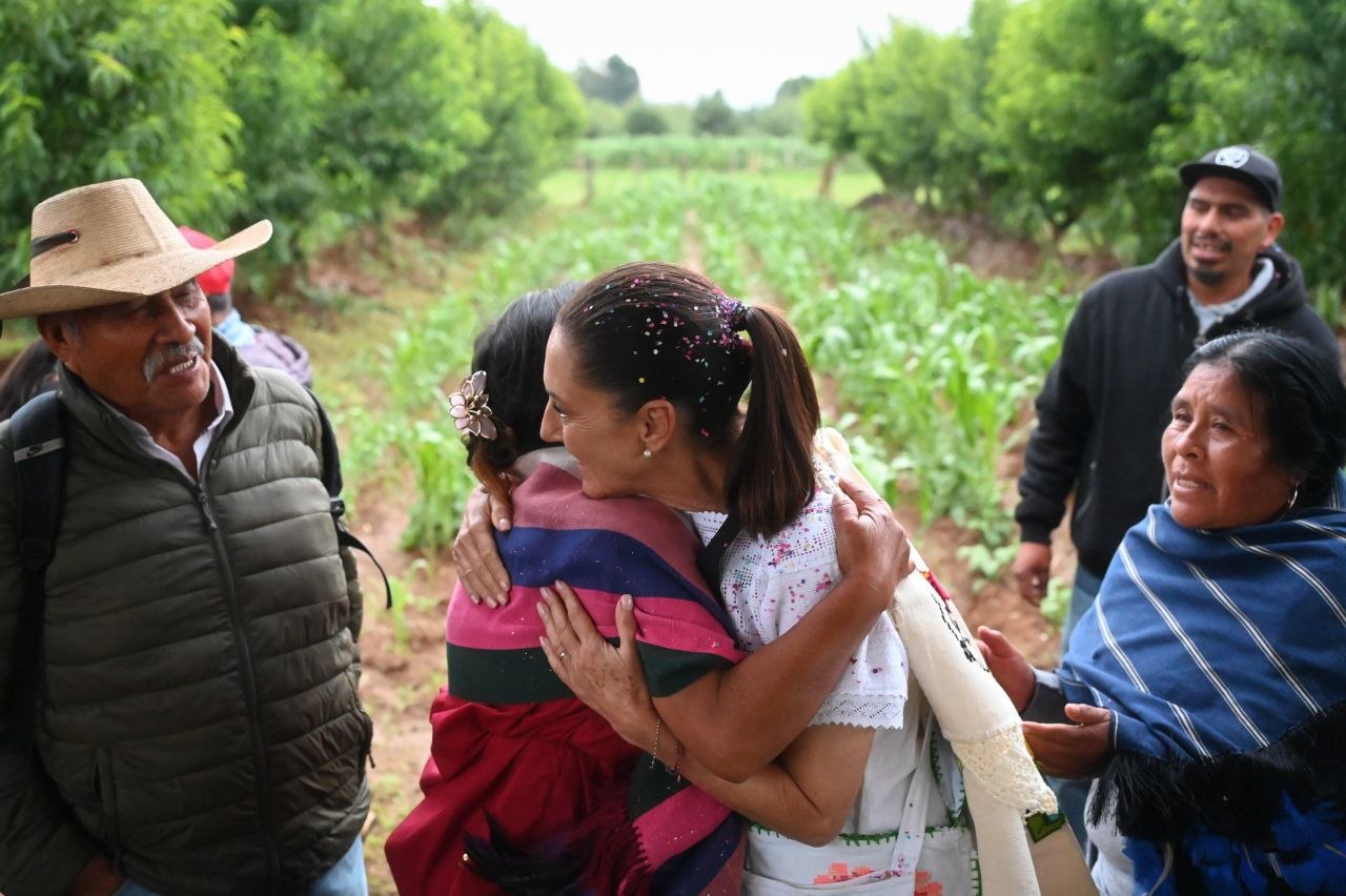 Sembrando Vida: 400 mil productores fortalecen el campo mexicano.