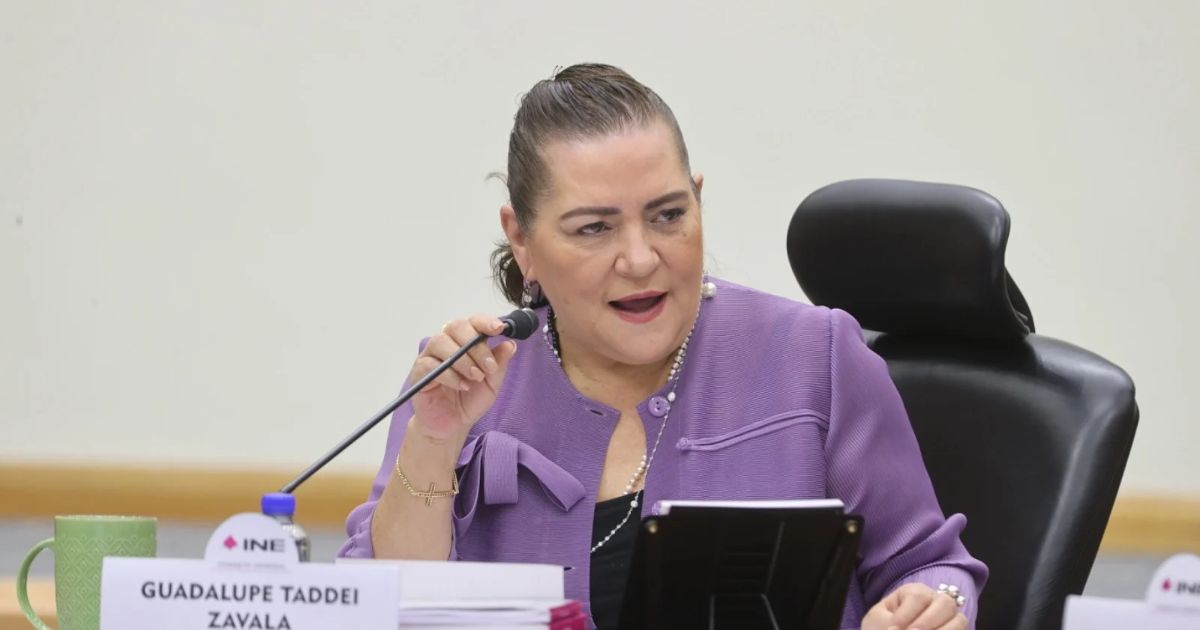La renuncia de Taddei abre el relevo en el INE